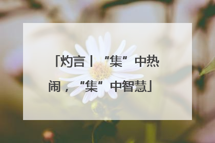 灼言丨“集”中热闹，“集”中智慧