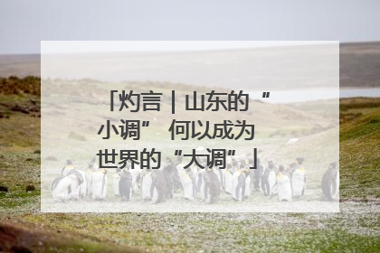 灼言｜山东的“小调” 何以成为世界的“大调”