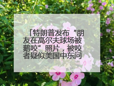 特朗普发布“朋友在高尔夫球场被鹅咬”照片，被咬者疑似美国中东问题特使