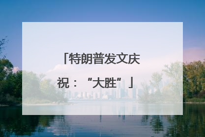 特朗普发文庆祝：“大胜”