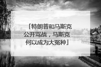特朗普和马斯克公开骂战，马斯克何以成为大冤种