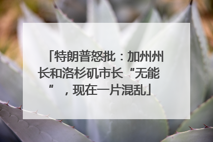 特朗普怒批：加州州长和洛杉矶市长“无能”，现在一片混乱