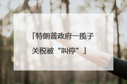 特朗普政府一揽子关税被“叫停”