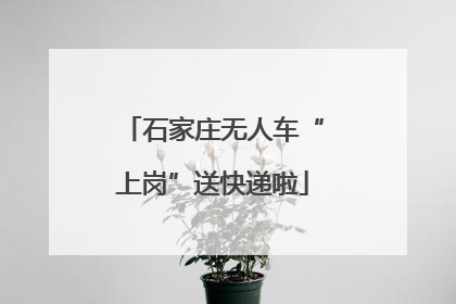 石家庄无人车“上岗”送快递啦
