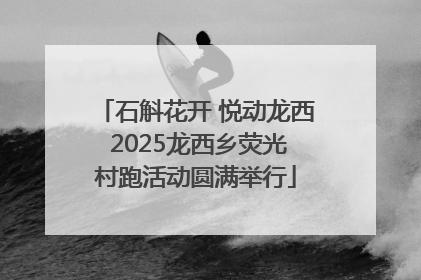 石斛花开 悦动龙西 2025龙西乡荧光村跑活动圆满举行