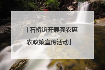 石桥镇开展强农惠农政策宣传活动