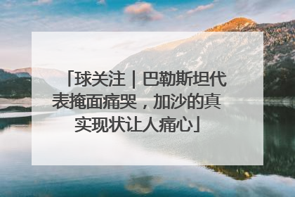 球关注｜巴勒斯坦代表掩面痛哭，加沙的真实现状让人痛心