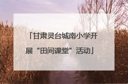 甘肃灵台城南小学开展“田间课堂”活动