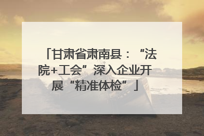 甘肃省肃南县：“法院+工会”深入企业开展“精准体检”