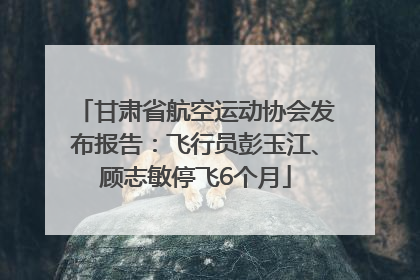 甘肃省航空运动协会发布报告：飞行员彭玉江、顾志敏停飞6个月