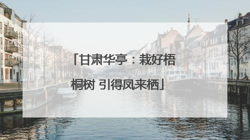 甘肃华亭：栽好梧桐树 引得凤来栖
