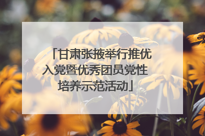 甘肃张掖举行推优入党暨优秀团员党性培养示范活动