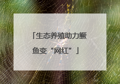 生态养殖助力鳜鱼变“网红”