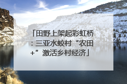 田野上架起彩虹桥：三亚水蛟村“农田+”激活乡村经济