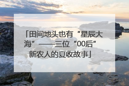 田间地头也有“星辰大海”——三位“00后”新农人的夏收故事