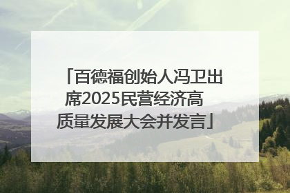 百德福创始人冯卫出席2025民营经济高质量发展大会并发言