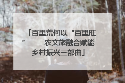 百里荒何以“百里旺”——农文旅融合赋能乡村振兴三部曲