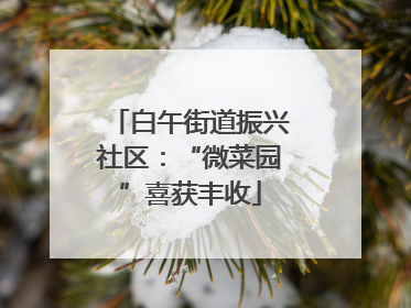 白午街道振兴社区：“微菜园”喜获丰收