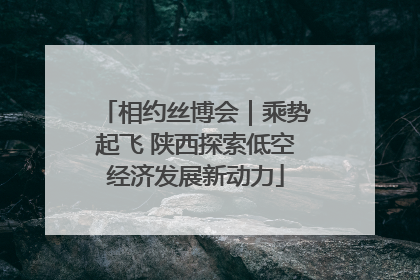 相约丝博会｜乘势起飞 陕西探索低空经济发展新动力