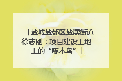 盐城盐都区盐渎街道徐志刚：项目建设工地上的“啄木鸟”
