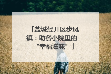 盐城经开区步凤镇：助餐小院里的“幸福滋味”