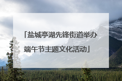 盐城亭湖先锋街道举办端午节主题文化活动