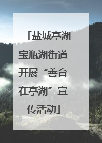 盐城亭湖宝瓶湖街道开展“善育在亭湖”宣传活动