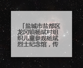 盐城市盐都区龙冈镇杨斌村组织儿童参观杨斌烈士纪念馆，传承红色基因