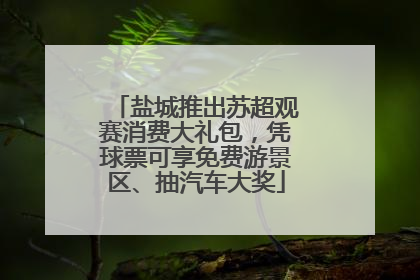 盐城推出苏超观赛消费大礼包，凭球票可享免费游景区、抽汽车大奖