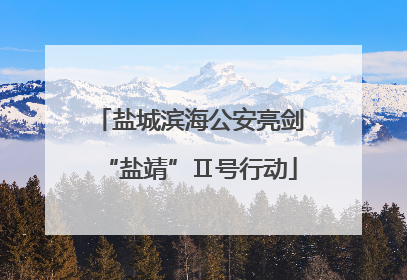 盐城滨海公安亮剑“盐靖”Ⅱ号行动