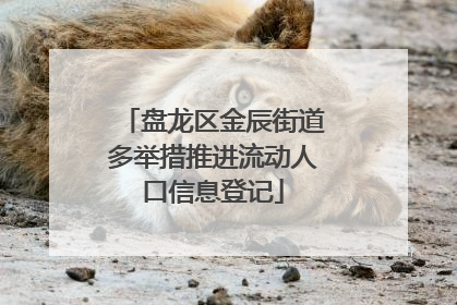 盘龙区金辰街道多举措推进流动人口信息登记