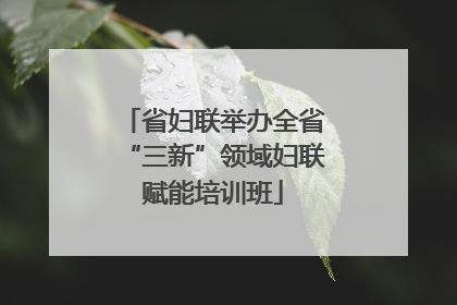 省妇联举办全省“三新”领域妇联赋能培训班