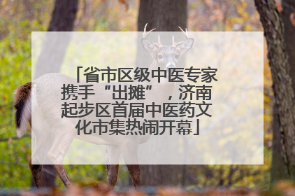 省市区级中医专家携手“出摊”，济南起步区首届中医药文化市集热闹开幕