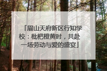 眉山天府新区行知学校：枇杷橙黄时，共赴一场劳动与爱的盛宴