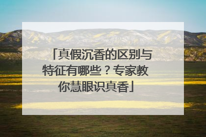 真假沉香的区别与特征有哪些？专家教你慧眼识真香