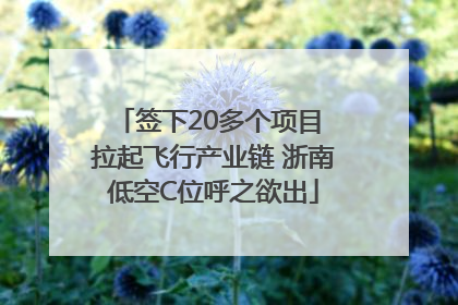 签下20多个项目 拉起飞行产业链 浙南低空C位呼之欲出