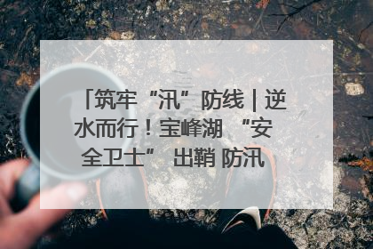 筑牢“汛”防线｜逆水而行！宝峰湖 “安全卫士” 出鞘 防汛应急再添硬核力量