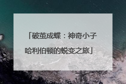 破茧成蝶：神奇小子哈利伯顿的蜕变之旅