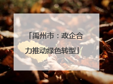 禹州市：政企合力推动绿色转型