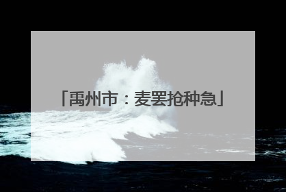 禹州市：麦罢抢种急