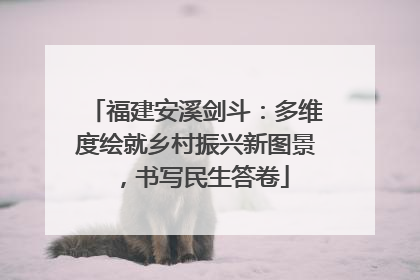 福建安溪剑斗：多维度绘就乡村振兴新图景，书写民生答卷