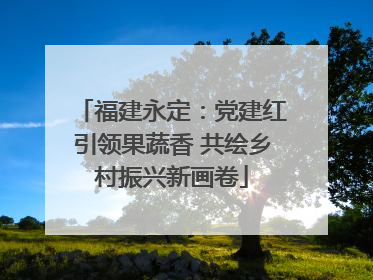 福建永定：党建红引领果蔬香 共绘乡村振兴新画卷
