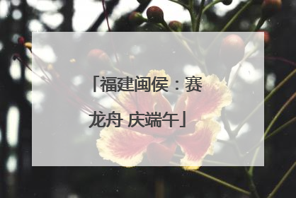 福建闽侯：赛龙舟 庆端午