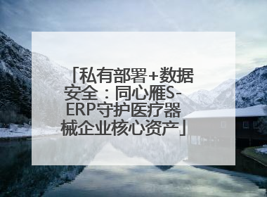 私有部署+数据安全：同心雁S-ERP守护医疗器械企业核心资产