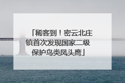 稀客到！密云北庄镇首次发现国家二级保护鸟类凤头鹰
