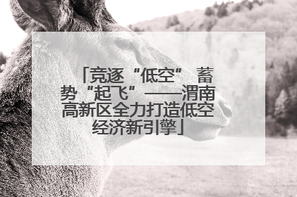 竞逐“低空” 蓄势“起飞”——渭南高新区全力打造低空经济新引擎
