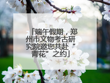 端午假期，郑州市文物考古研究院邀您共赴“青花”之约
