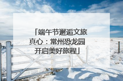 端午节邂逅文旅真心：常州恐龙园开启美好旅程