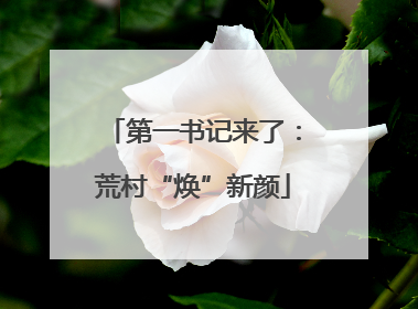 第一书记来了：荒村“焕”新颜