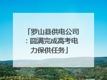 罗山县供电公司：圆满完成高考电力保供任务